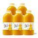Family Pack смузі FreshMe Mango Beauty 700 мл / 5 шт KIT-FPMB фото 1